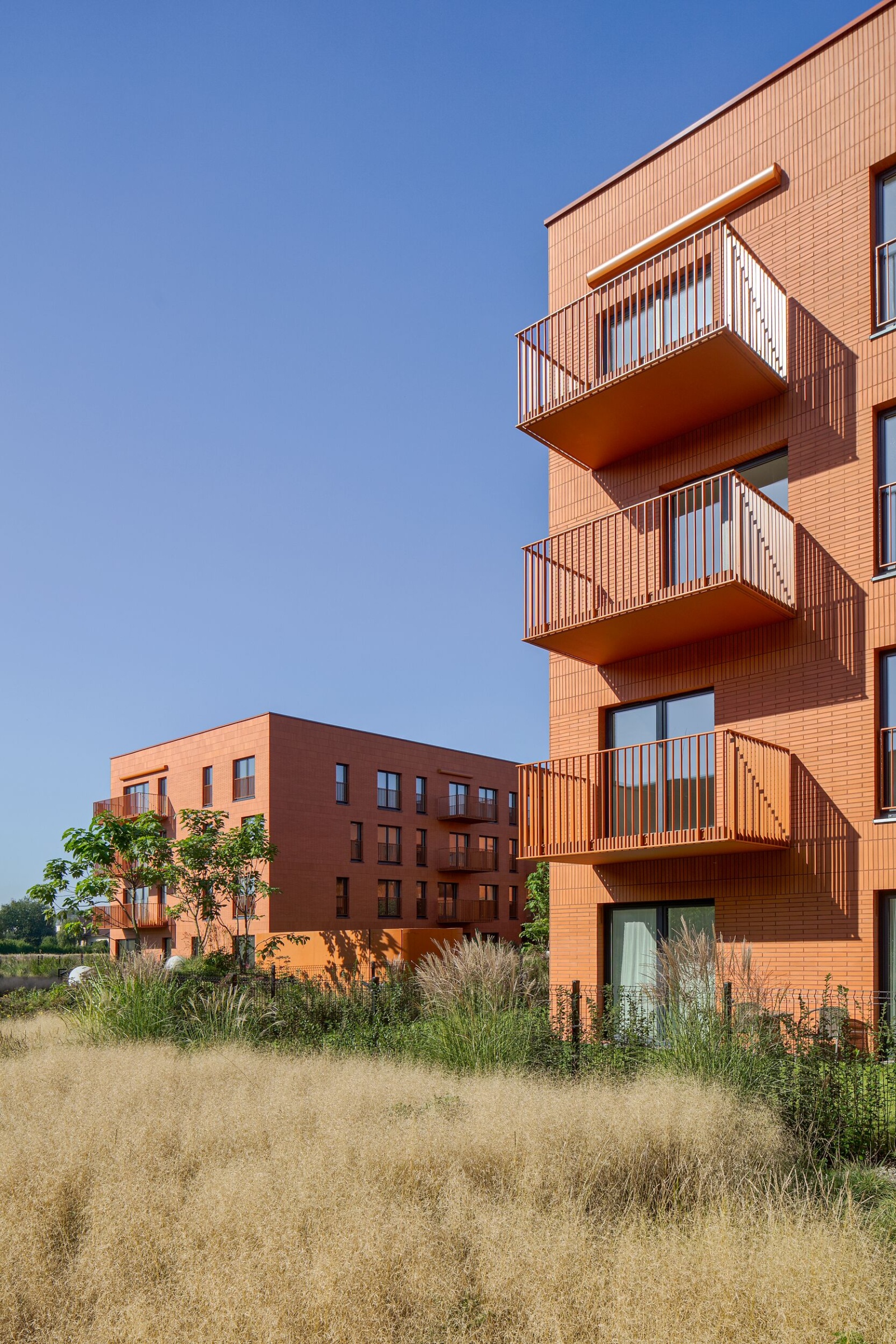 Feldhaus, Referenzbau mit Klinker Riemchen